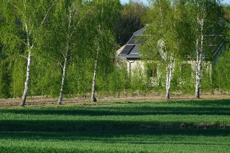 Dom niskoenergetyczny
