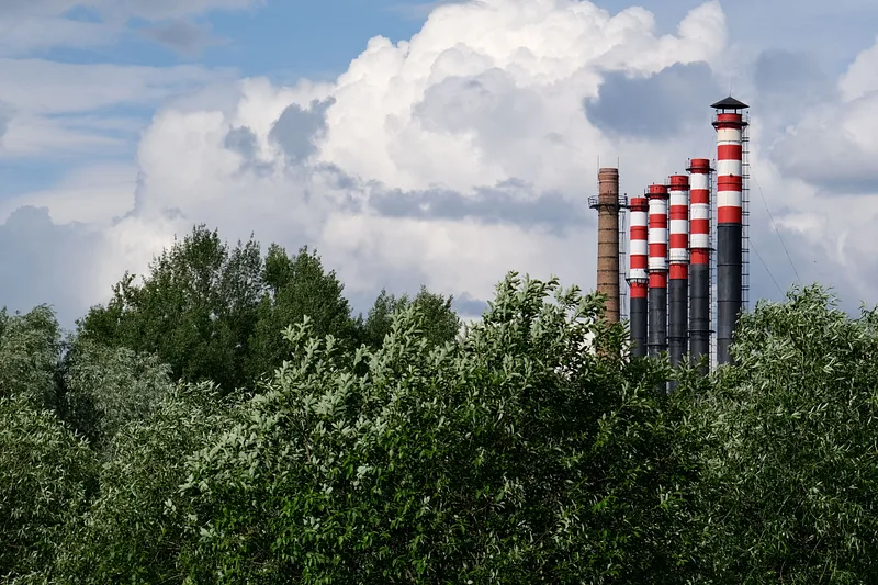 Kominy elektrociepłowni nad drzewami