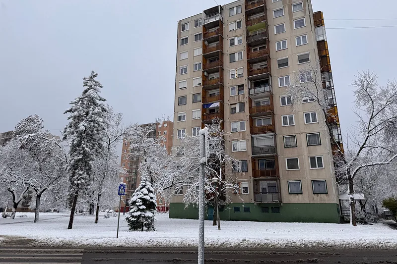 Wysoki blok mieszkalny zimą, przed nim ośnieżone drzewa