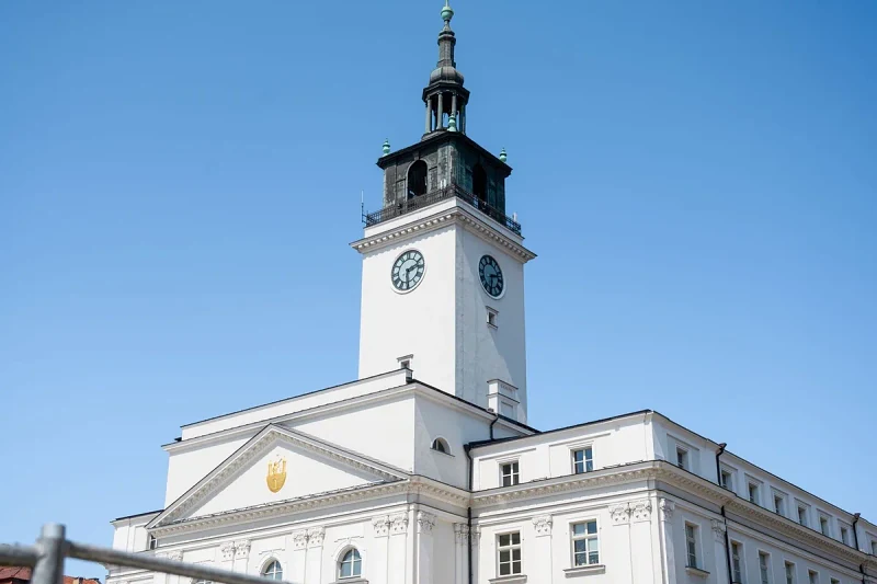 Lokalne programy wsparcia, urząd gminy