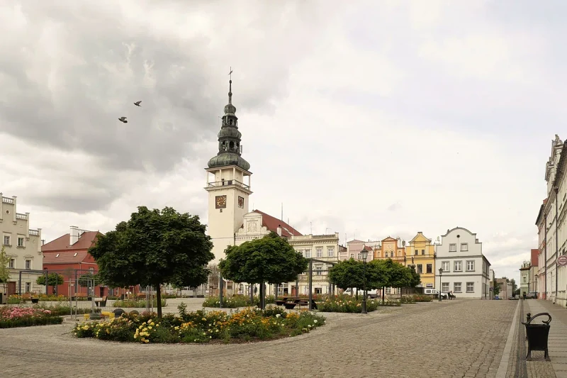 Lokalne programy wsparcia, urząd gminy