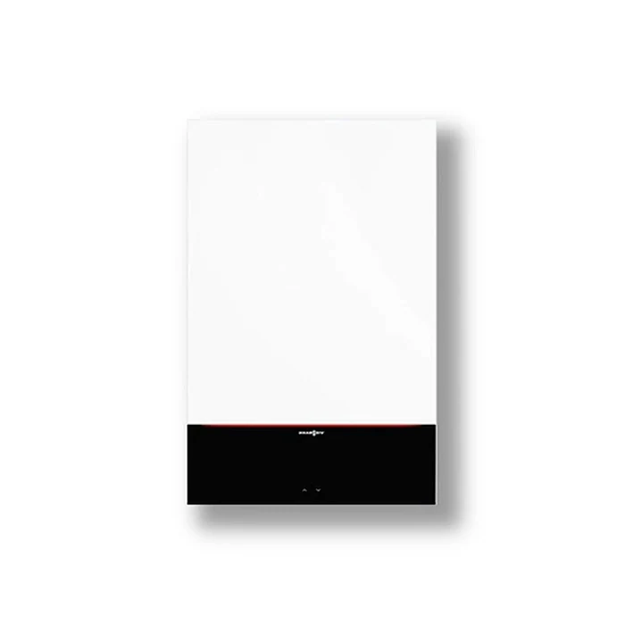 Viessmann Vitodens 100-W